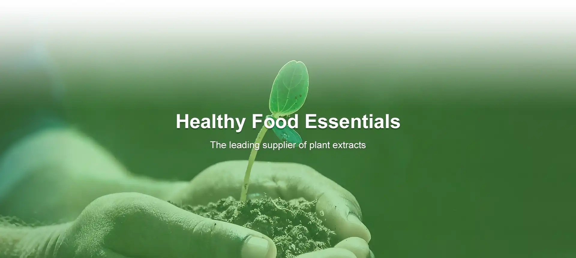 Earth Made Nutritions Contact Banner